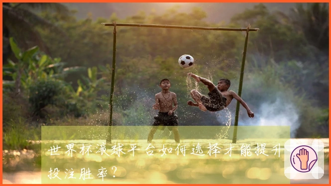 世界杯滚球平台如何选择才能提升投注胜率？