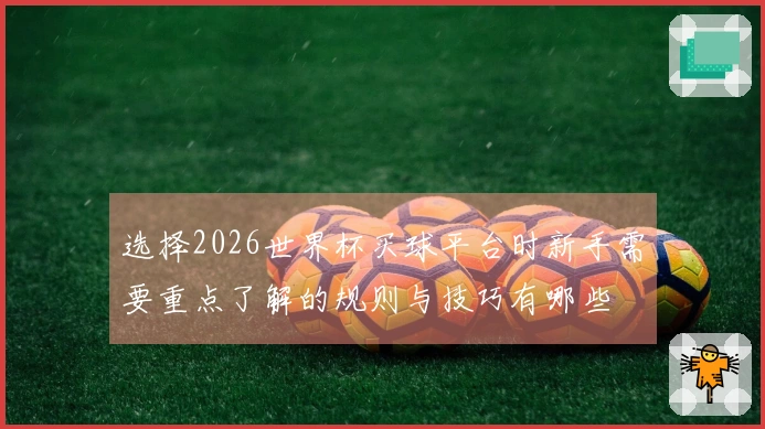选择2026世界杯买球平台时新手需要重点了解的规则与技巧有哪些