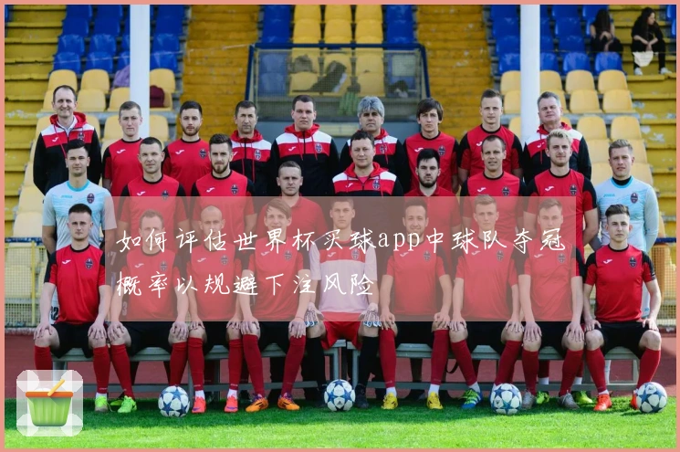 如何评估世界杯买球app中球队夺冠概率以规避下注风险
