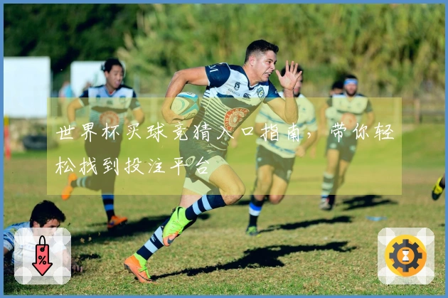 世界杯买球竞猜入口指南，带你轻松找到投注平台