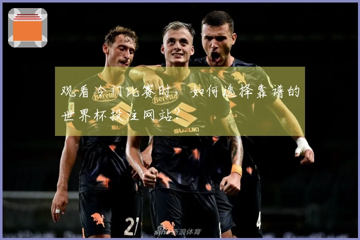 观看冷门比赛时，如何选择靠谱的世界杯投注网站？