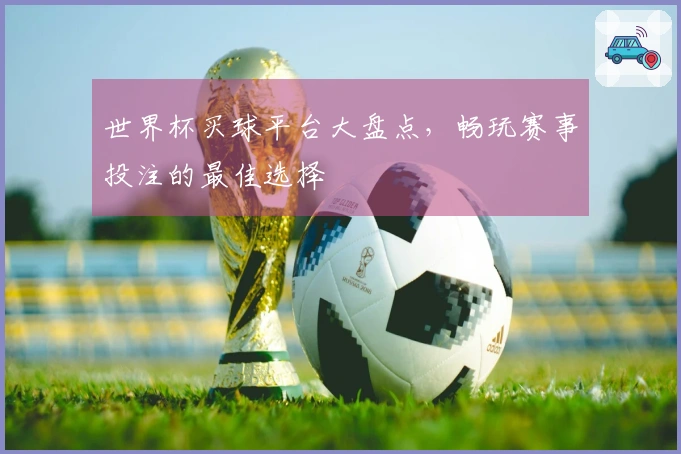 世界杯买球平台大盘点，畅玩赛事投注的最佳选择