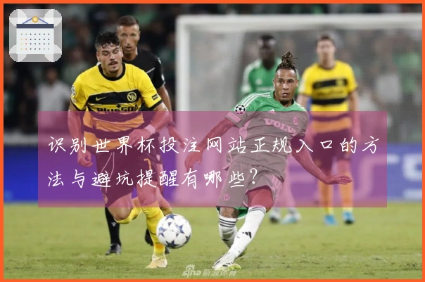 识别世界杯投注网站正规入口的方法与避坑提醒有哪些？