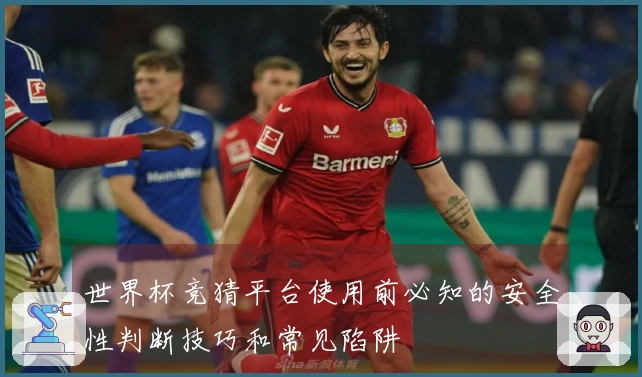 世界杯竞猜平台使用前必知的安全性判断技巧和常见陷阱