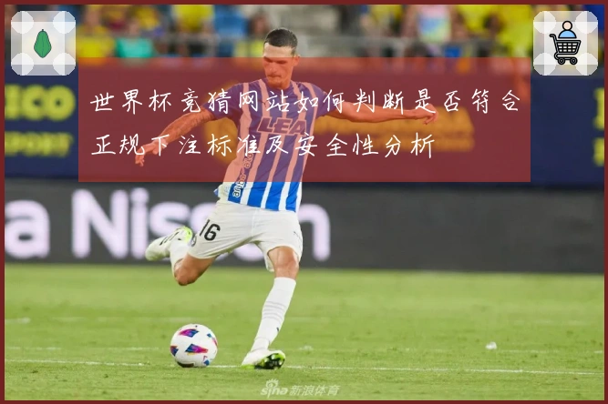 世界杯竞猜网站如何判断是否符合正规下注标准及安全性分析