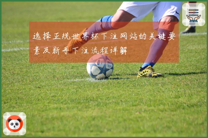 选择正规世界杯下注网站的关键要素及新手下注流程详解