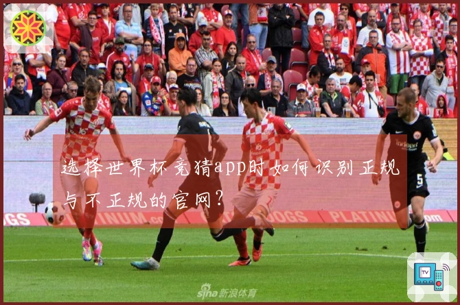 选择世界杯竞猜app时如何识别正规与不正规的官网？
