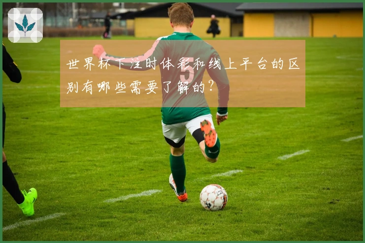 世界杯下注时体彩和线上平台的区别有哪些需要了解的？