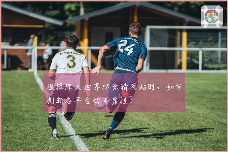 选择烽火世界杯竞猜网站时，如何判断各平台的可靠性？