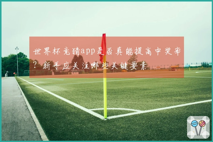 世界杯竞猜app是否真能提高中奖率？新手应关注哪些关键要素