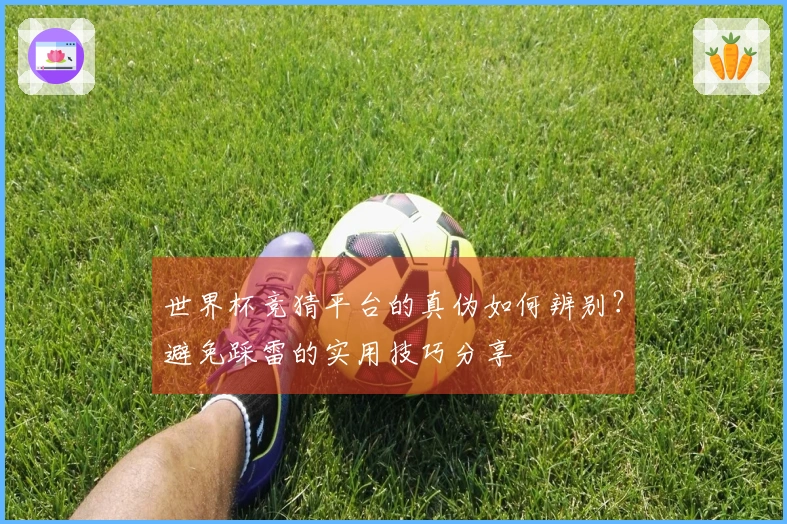 世界杯竞猜平台的真伪如何辨别？避免踩雷的实用技巧分享