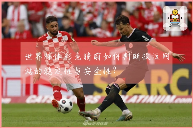 世界杯体彩竞猜前如何判断投注网站的稳定性与安全性？