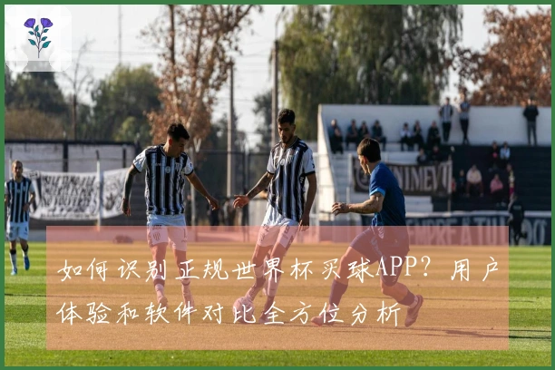 如何识别正规世界杯买球APP？用户体验和软件对比全方位分析