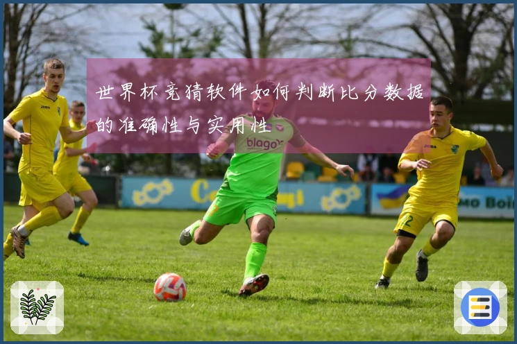 世界杯竞猜软件如何判断比分数据的准确性与实用性