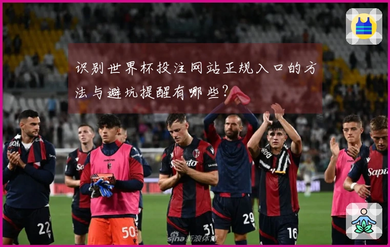 识别世界杯投注网站正规入口的方法与避坑提醒有哪些？