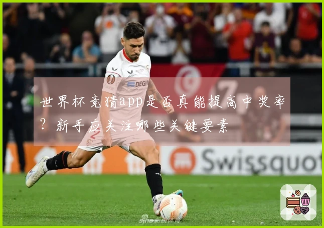 世界杯竞猜app是否真能提高中奖率？新手应关注哪些关键要素