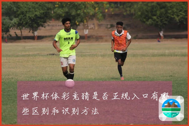 世界杯体彩竞猜是否正规入口有哪些区别和识别方法