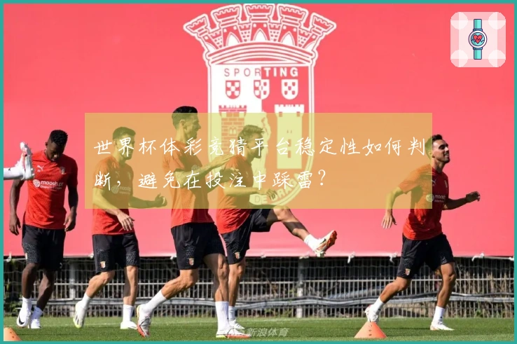 世界杯体彩竞猜平台稳定性如何判断，避免在投注中踩雷？