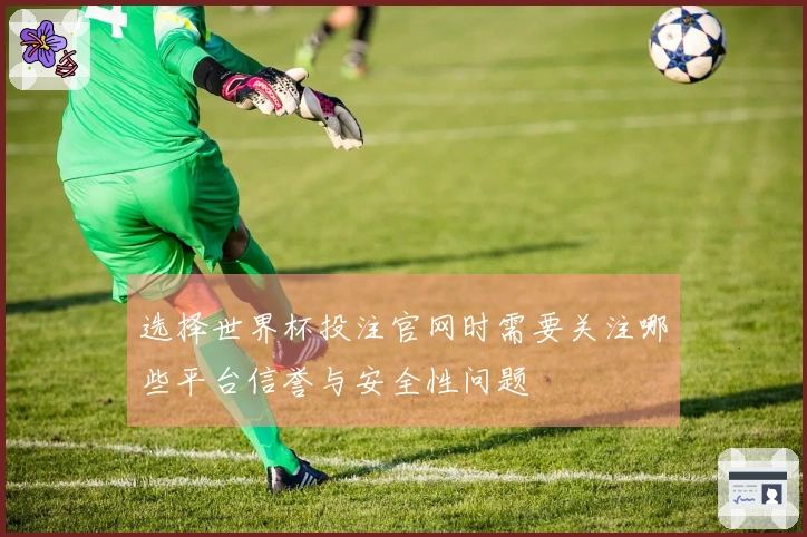 选择世界杯投注官网时需要关注哪些平台信誉与安全性问题