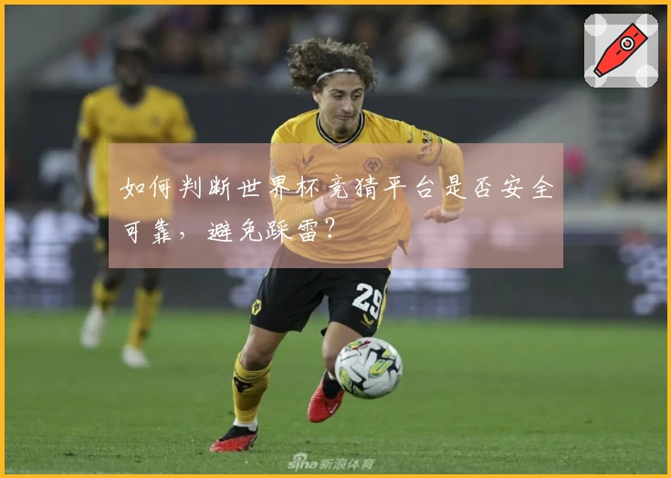 如何判断世界杯竞猜平台是否安全可靠，避免踩雷？