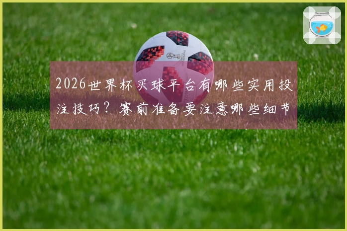 2026世界杯买球平台有哪些实用投注技巧？赛前准备要注意哪些细节？