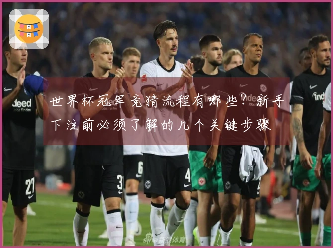 世界杯冠军竞猜流程有哪些？新手下注前必须了解的几个关键步骤
