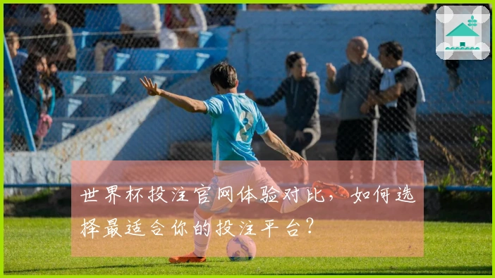 世界杯投注官网体验对比，如何选择最适合你的投注平台？