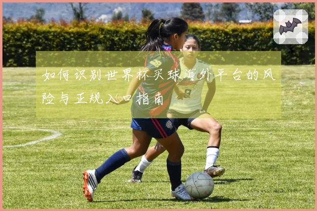 如何识别世界杯买球海外平台的风险与正规入口指南