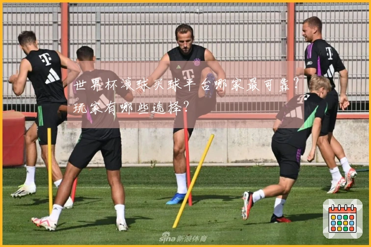 世界杯滚球买球平台哪家最可靠？玩家有哪些选择？