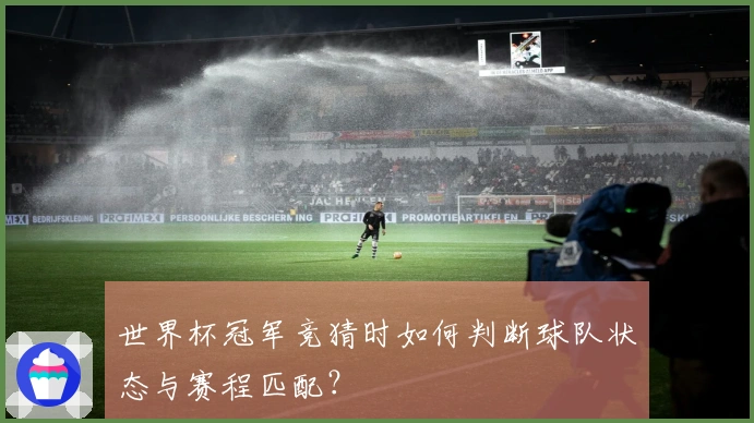 世界杯冠军竞猜时如何判断球队状态与赛程匹配？