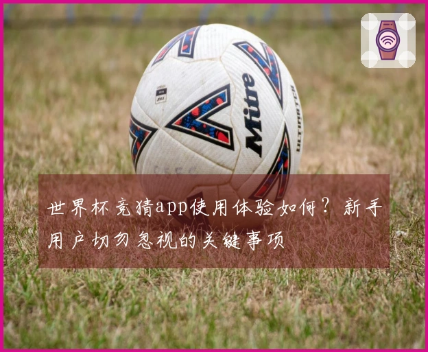 世界杯竞猜app使用体验如何？新手用户切勿忽视的关键事项